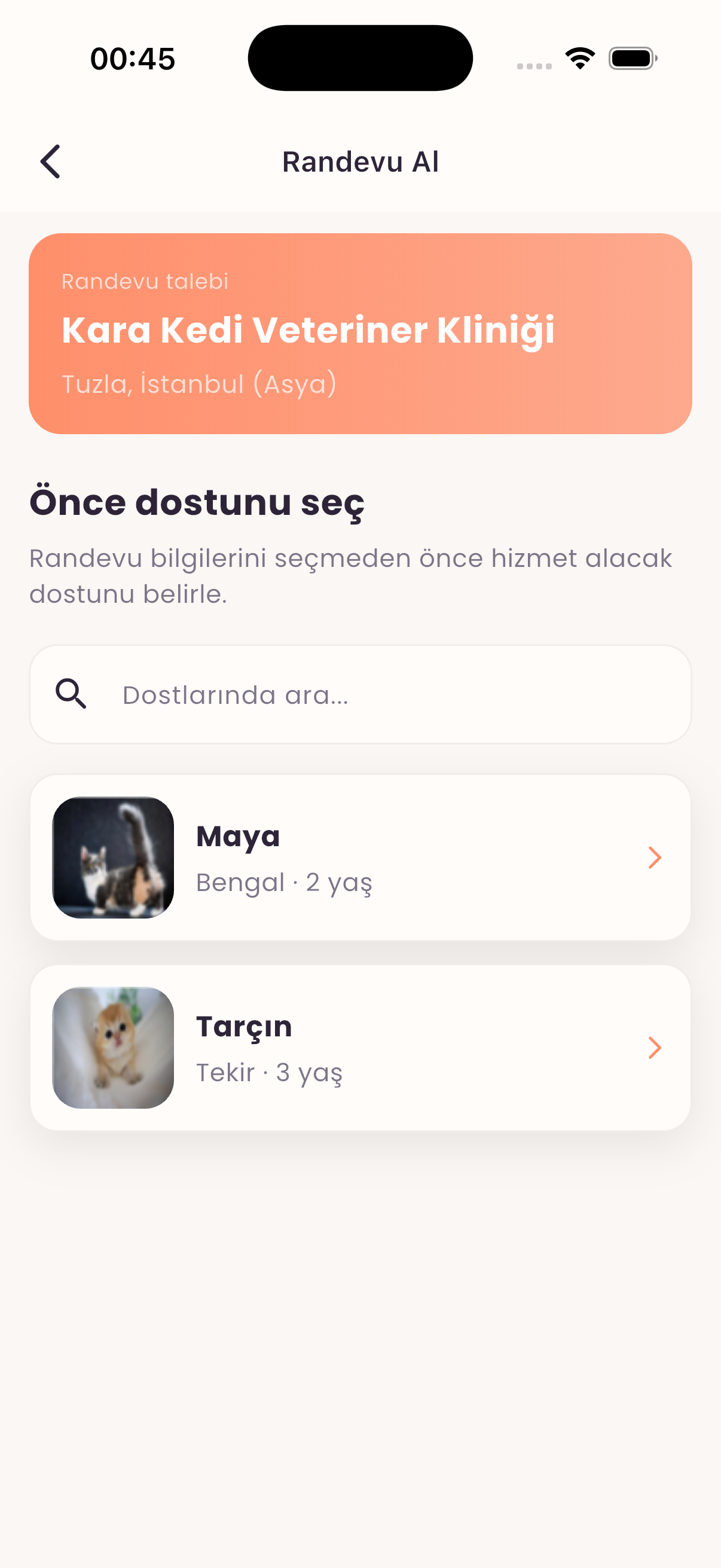 Randevu için patili dost seçme ekranı