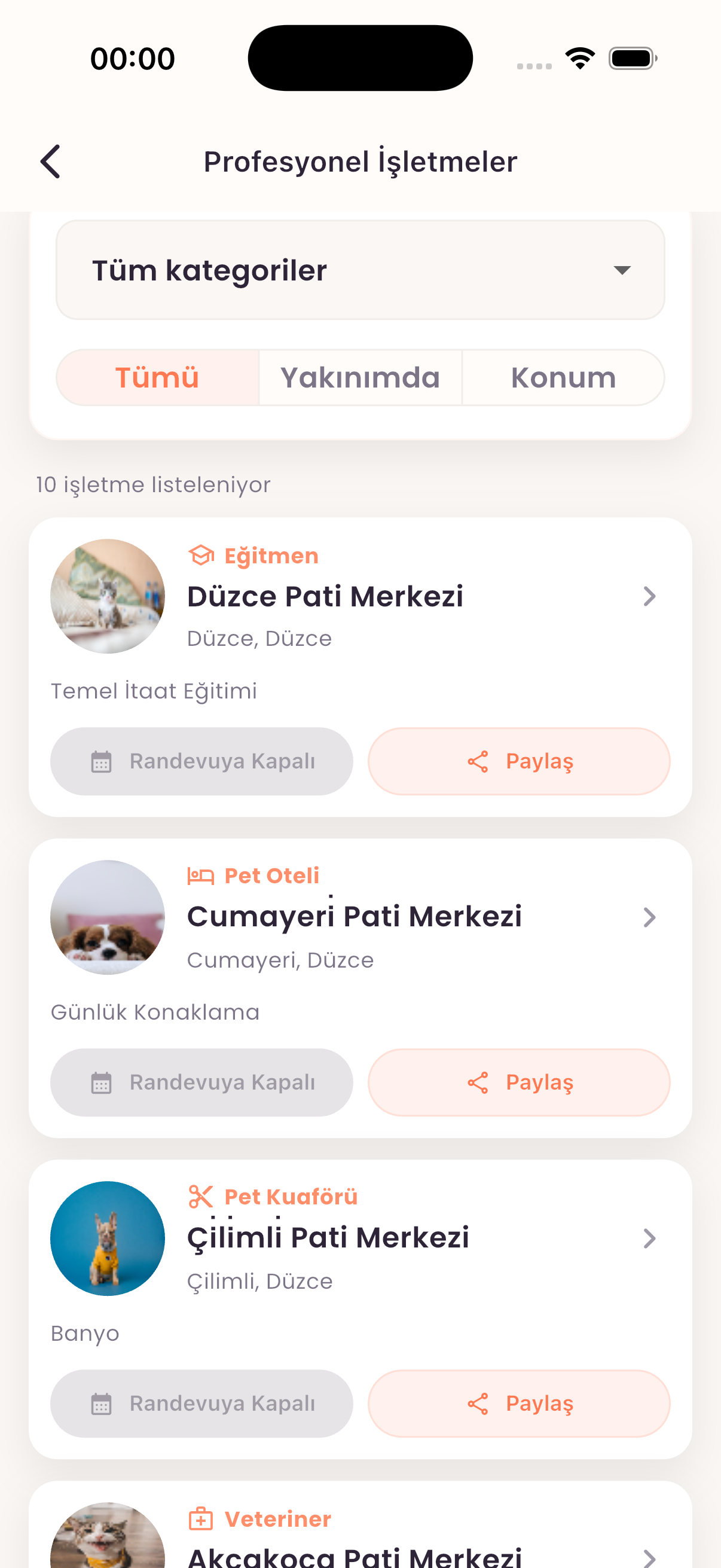 Profesyonel işletmeler ekranı